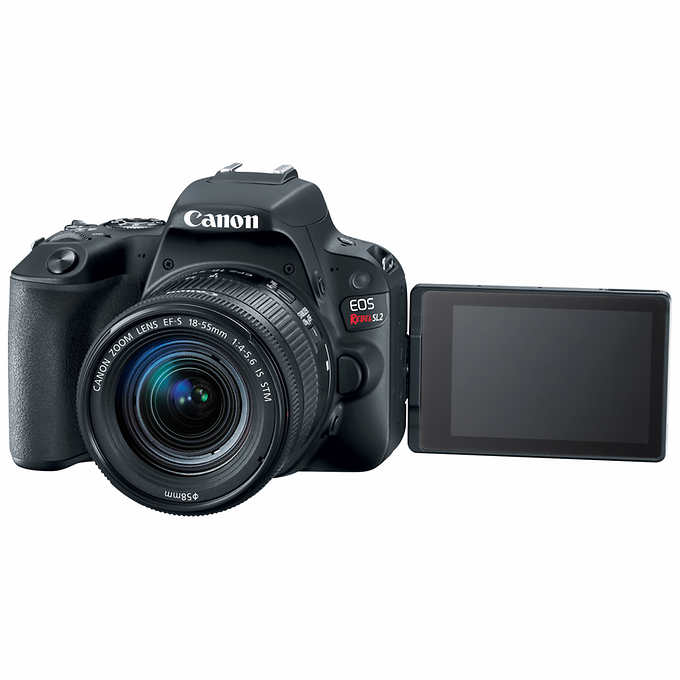 Canon EOS SL2 DSLR Camera 3 Lens Bundle | My online store ...