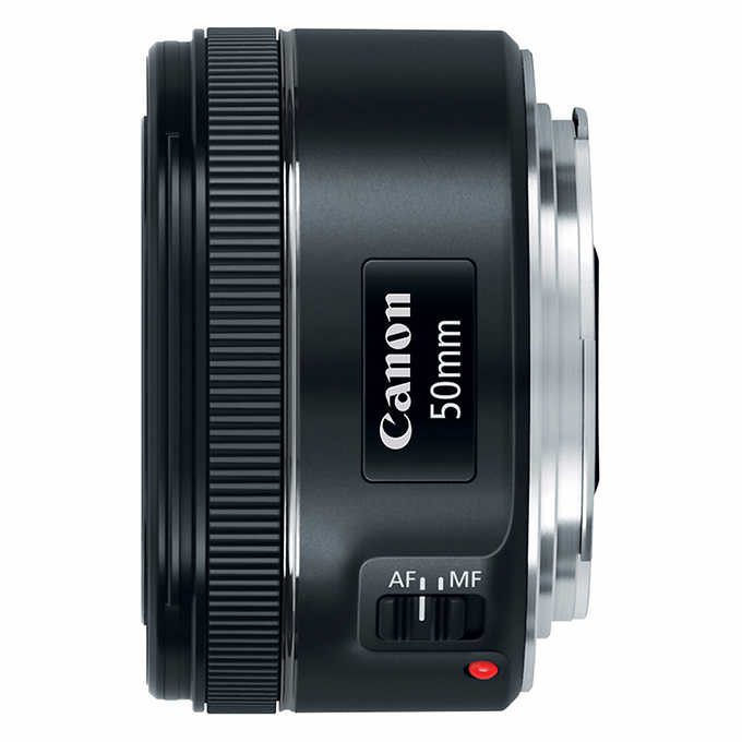 Canon EOS SL2 DSLR Camera 3 Lens Bundle  My online store